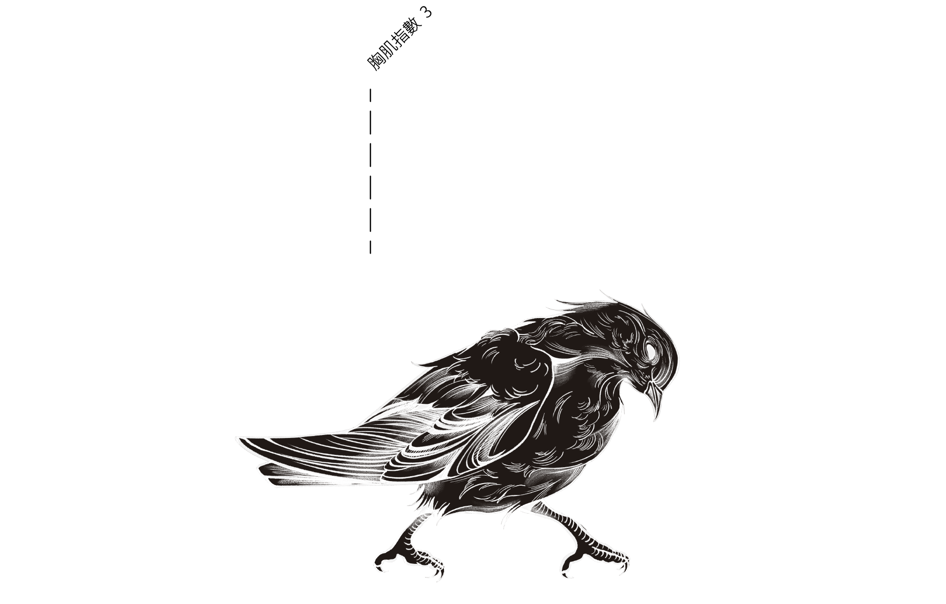 指數3插圖